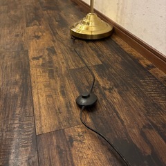 スタンドライトの画像