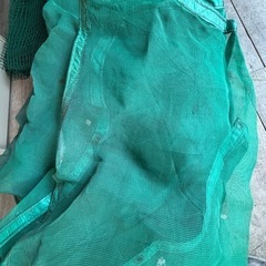 ネットの画像