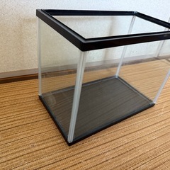 水槽の画像