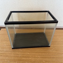 水槽の画像