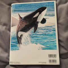 シャチまるごとbook　ポストカード付きの画像