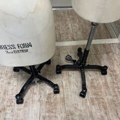 トルソー　2体の画像
