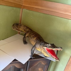 置き物　オブジェ　開運　インテリア　和室の画像
