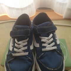 VANSスニーカーの画像