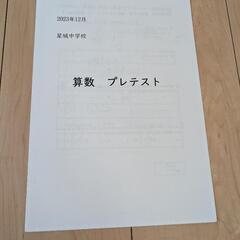星城中学校　過去問まとめての画像