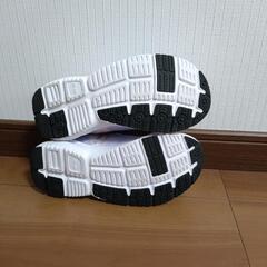 キッズ　瞬足の画像