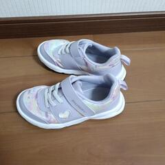 キッズ　瞬足の画像