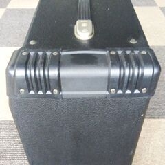 Guyatone Zip44 ギターアンプの画像