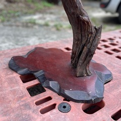 キジ　鳥　剥製　はくせい　置物の画像