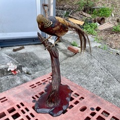 キジ　鳥　剥製　はくせい　置物の画像