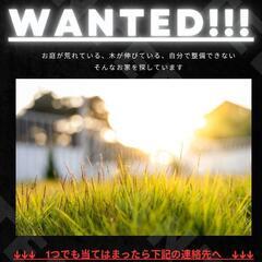 【佐久市・小諸市】草刈り・庭木剪定・伐採承ります！【見積り…
