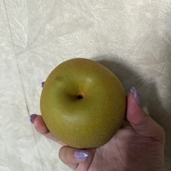 梨【幸水】5個入りの画像
