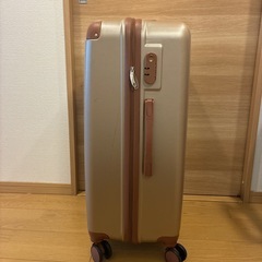 スーツケースＬの画像