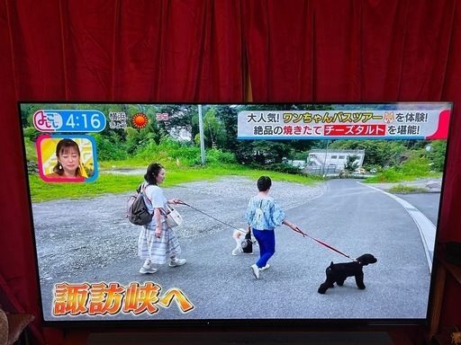 SONY 有機ELテレビ　XRJ-55A80K 55インチ