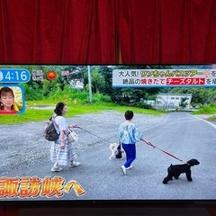 SONY 有機ELテレビ　XRJ-55A80K 55インチの画像