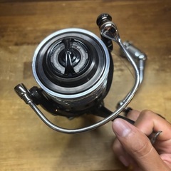 16キャタリナ5000hの画像