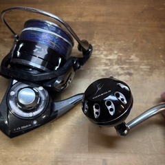 16キャタリナ5000hの画像