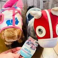 競走馬ぬいぐるみ　1993年年度代表馬ビワハヤヒデ　当時のぬいぐるみ　2点　　貴重なお品の画像