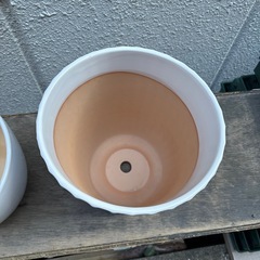 植木鉢　約20鉢の画像