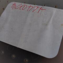 外国産カブトムシ　サビイロカブト　ペア　昆虫　ペットの画像