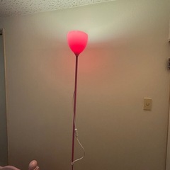 間接照明 ピンクの画像