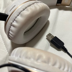 ワイヤレスヘッドホンの画像