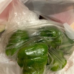 すいか、野菜セット！の画像