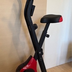 Steady フィットネスバイク エアロバイク ST102（2020年9月購入）の画像