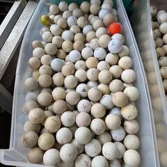 無料！あげます！中古ゴルフボール大量！早い者勝ち！の画像