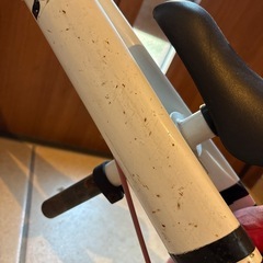 ストライダー　足蹴りバイク　子ども用自転車の画像