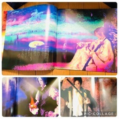 【美品】GACKT デカジャケ　DIABOLOS CD ジャケットはLPサイズの画像