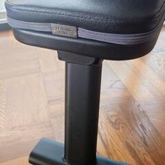 インクラインベンチ LEADING EDGEの画像