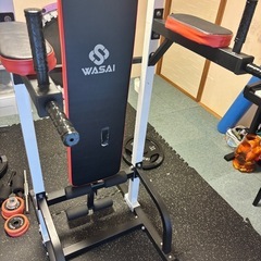 WASAI ぶら下がり健康器具の画像