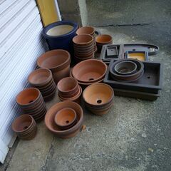 植木鉢さしあげます。の画像