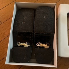 浴衣のゲタの画像