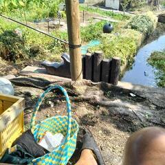 占い出来るかた　募集　場所探しの方