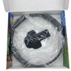 186000 現状品 Nintendo 任天堂 ニンテンドウ switch リングフィット アドベンチャー [250204HM040048]の画像