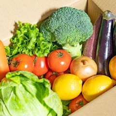 【東京都練馬区】業務用食材配達ドライバー急募！の画像