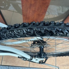 ルイガノMTBの画像