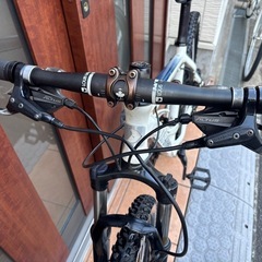 ルイガノMTBの画像