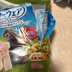 ワンコオムツ　マナーウェアの画像