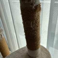 キャットタワーの画像
