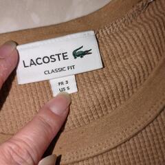 LACOSTE ラコステ ロングTシャツ  ベージュの画像