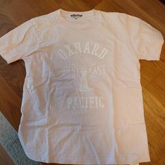 Tシャツ各種6枚セットの画像
