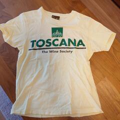 Tシャツ各種6枚セットの画像