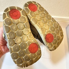 瞬足 14.5cmの画像