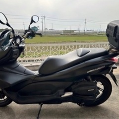 PCX 150cc KF12 マットブラック自賠責3年付ホンダの画像