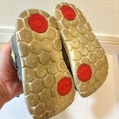 瞬足 14.0cmの画像