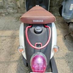 ビーノ　ツートンカラーの画像