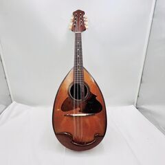 【❗️✨1970年製✨❗️】SUZUKI 鈴木バイオリン マンドリン No.228 ケース付 現状品の画像